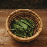 Oregon Sugar Pod II Snow Pea Seeds