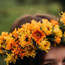 Pacific Beauty Calendula