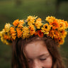 Pacific Beauty Calendula