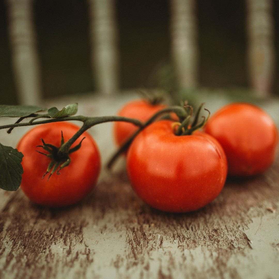 Perestroika Siberian Tomato