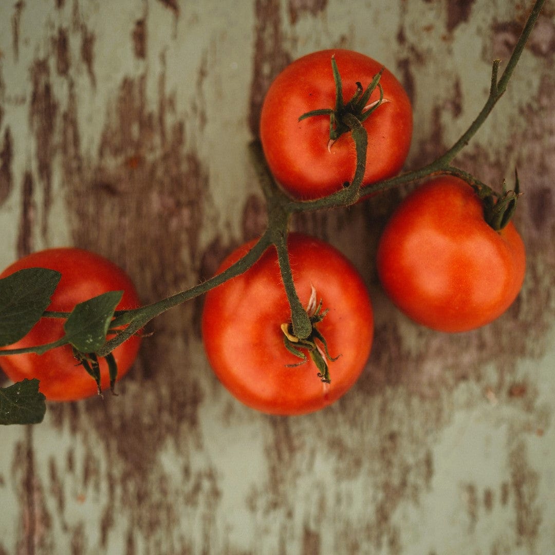 Perestroika Siberian Tomato