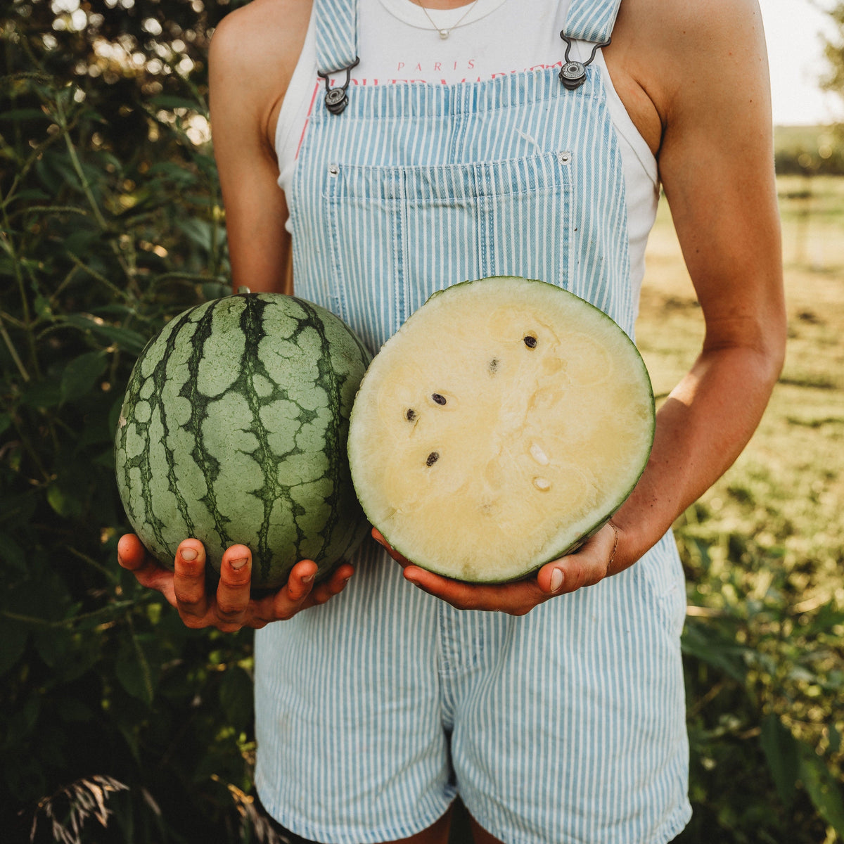 Petite Yellow Watermelon