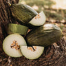 Piel de Sapo Melon