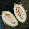 Piel de Sapo Melon
