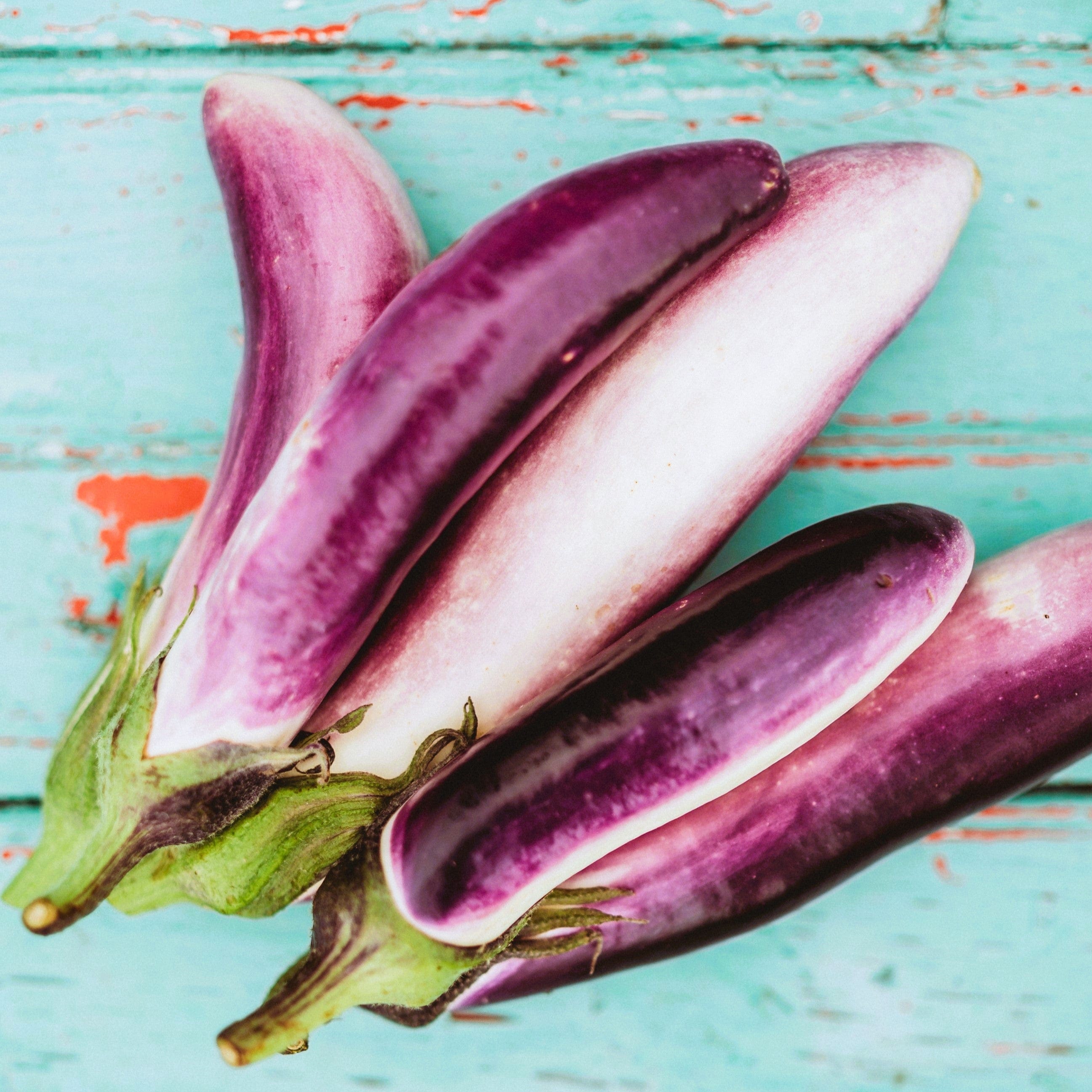 eggplantページ 050073-eggplant_1.jpg