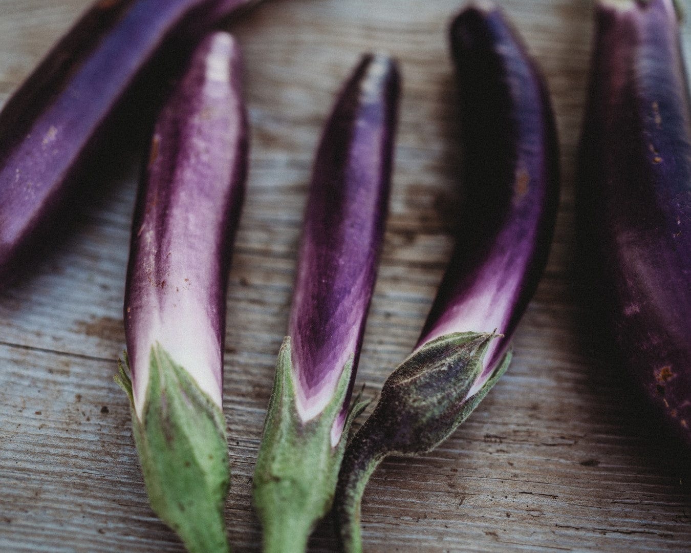 eggplantページ Ping Tung Long Eggplant - Thresh Seed Co.