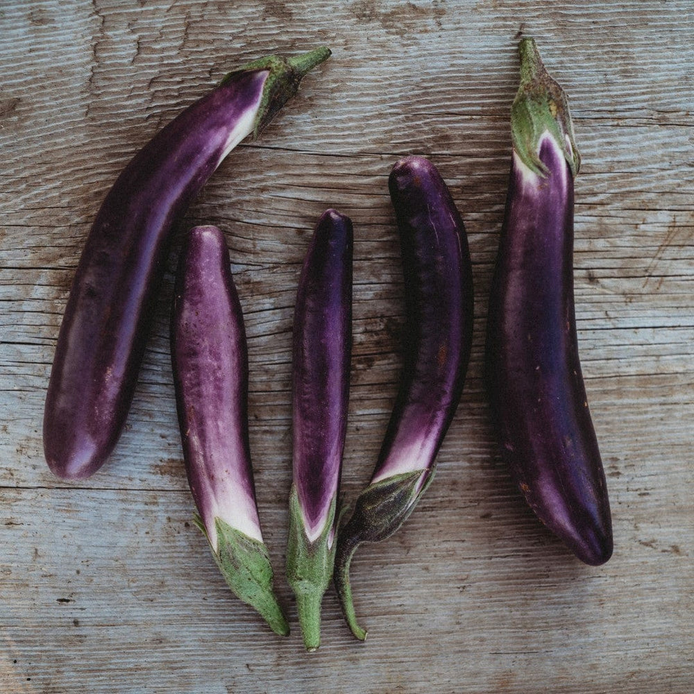 Ping Tung Long Eggplant
