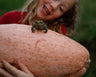 Pink Banana Squash