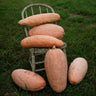 Pink Banana Squash