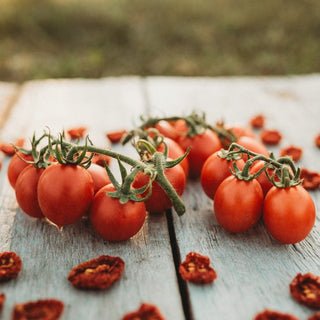 Principe Borghese Heirloom Tomato