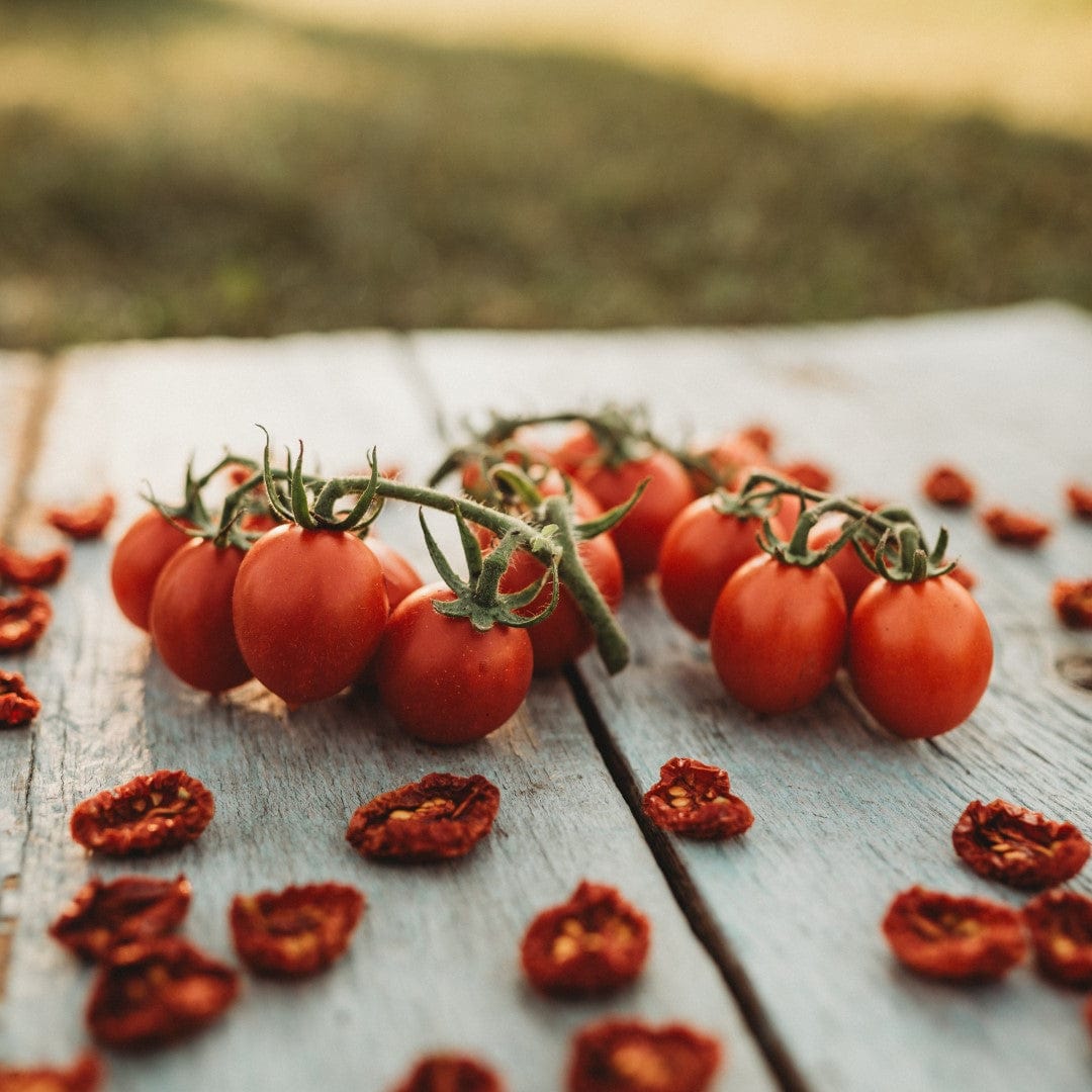 Principe Borghese Heirloom Tomato