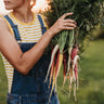 Rainbow Carrot Mix