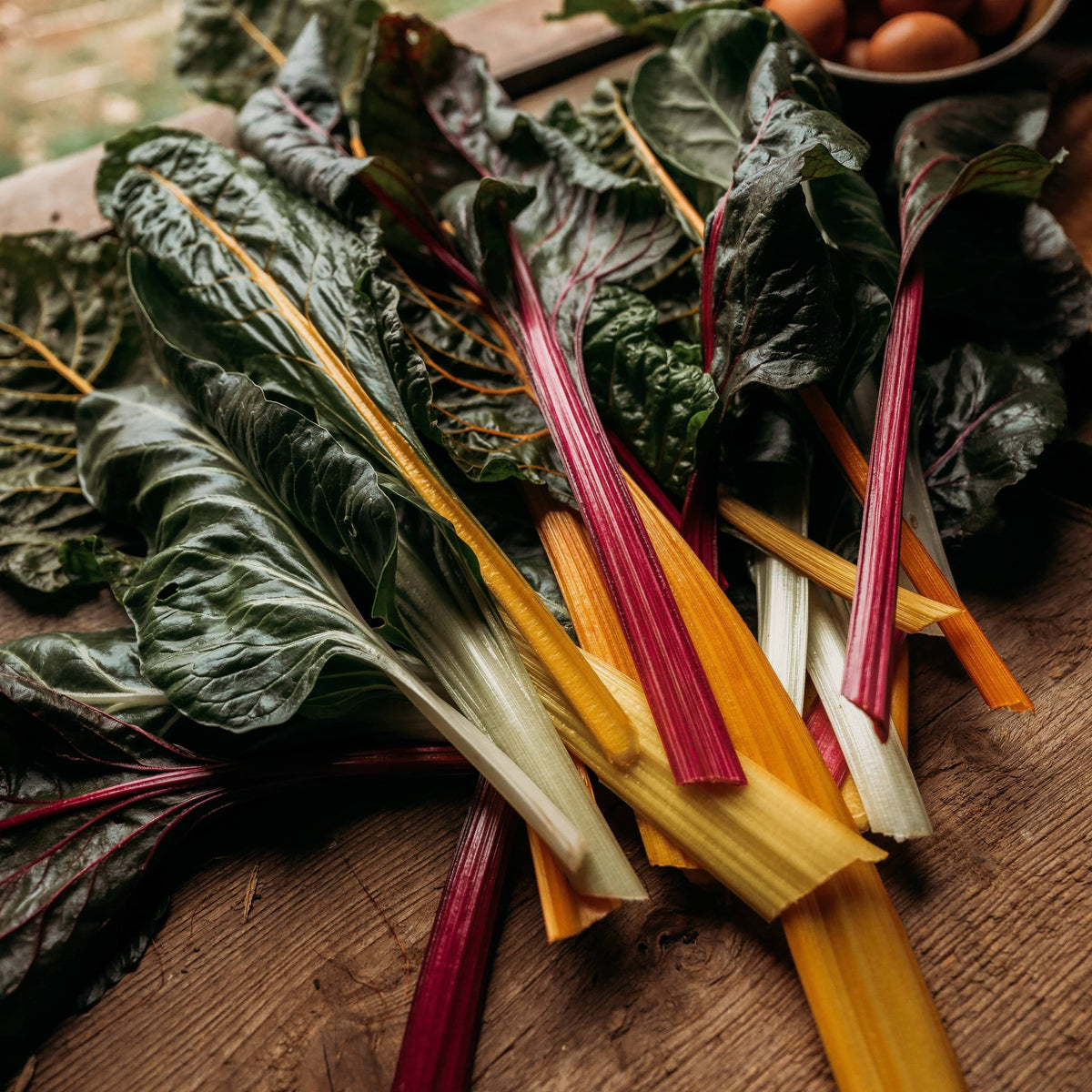Rainbow Swiss Chard