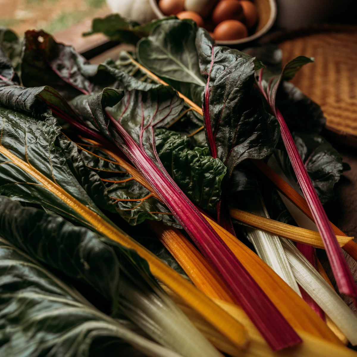 Rainbow Swiss Chard