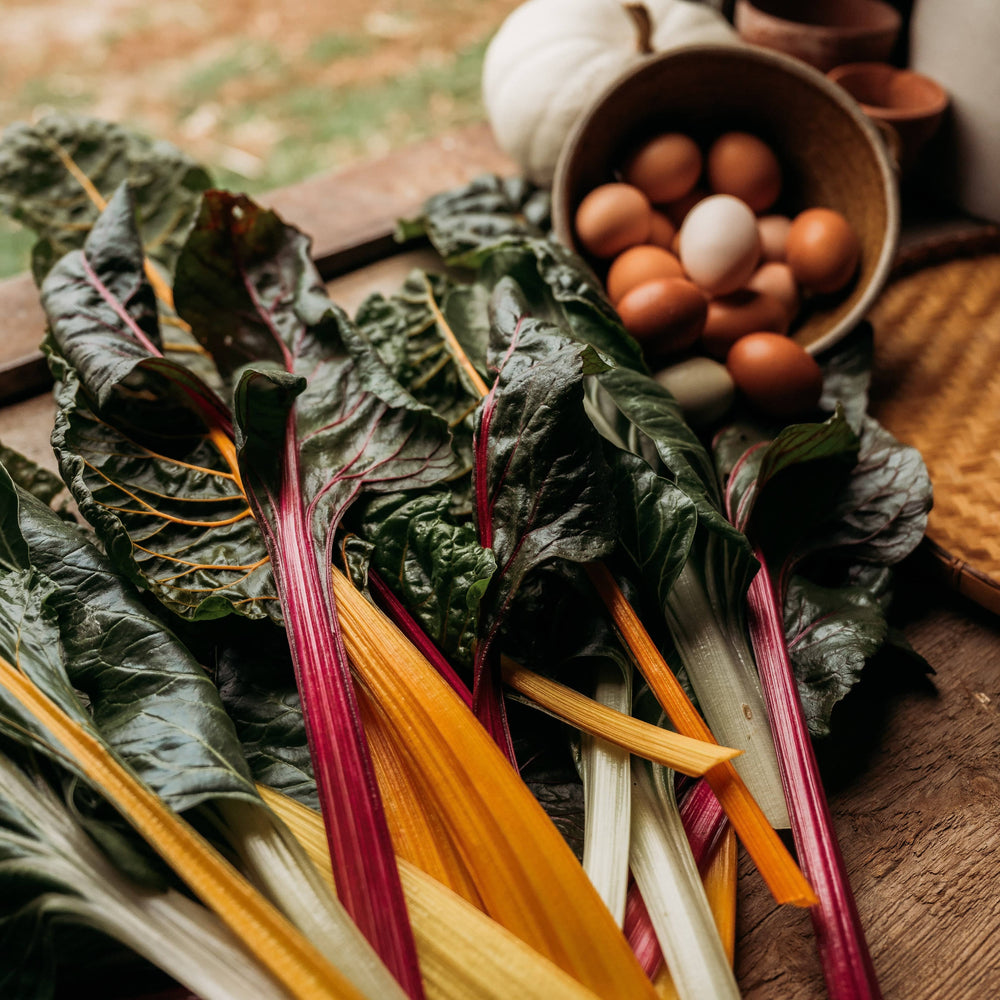 Rainbow Swiss Chard