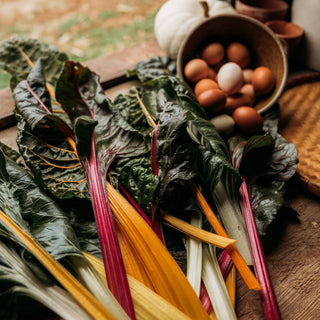 Rainbow Swiss Chard