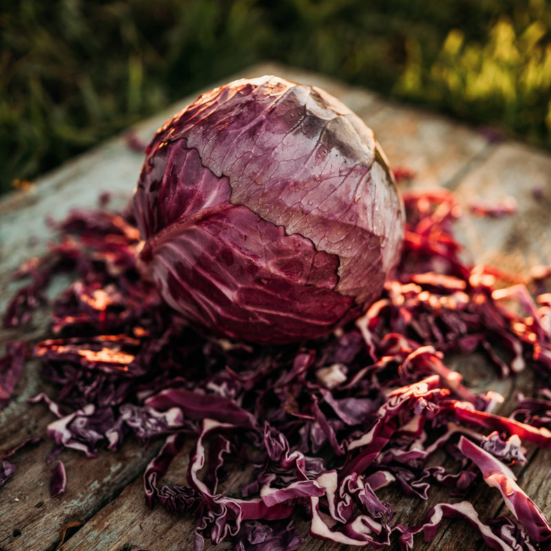 Red Acre Cabbage