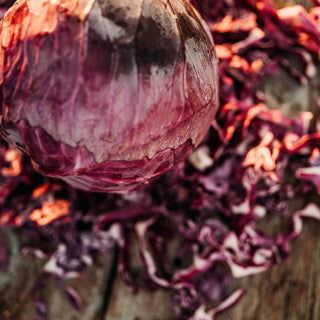 Red Acre Cabbage
