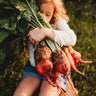 Red Mangelwurzel Fodder Beet