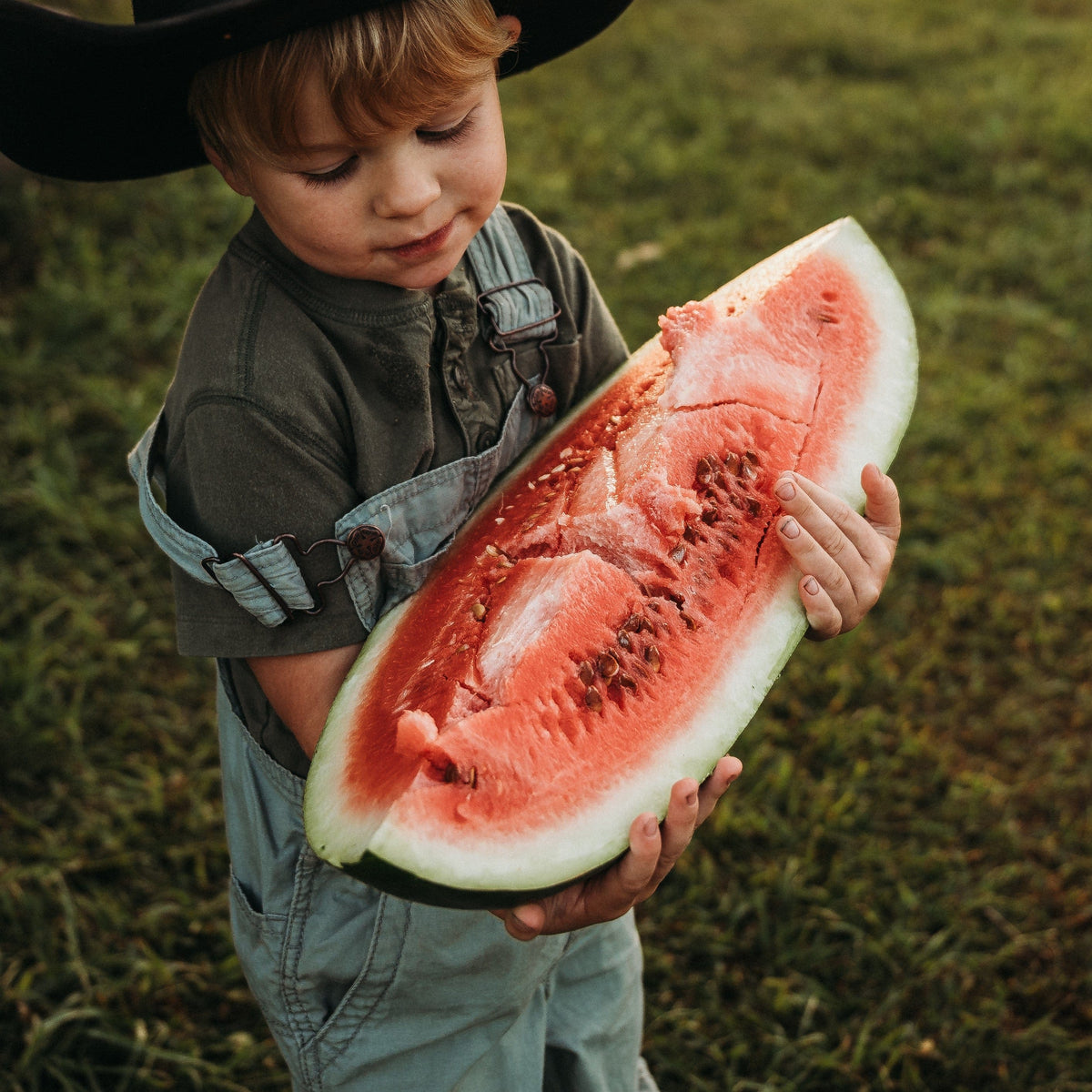Red-N-Sweet Watermelon