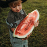 Red-N-Sweet Watermelon