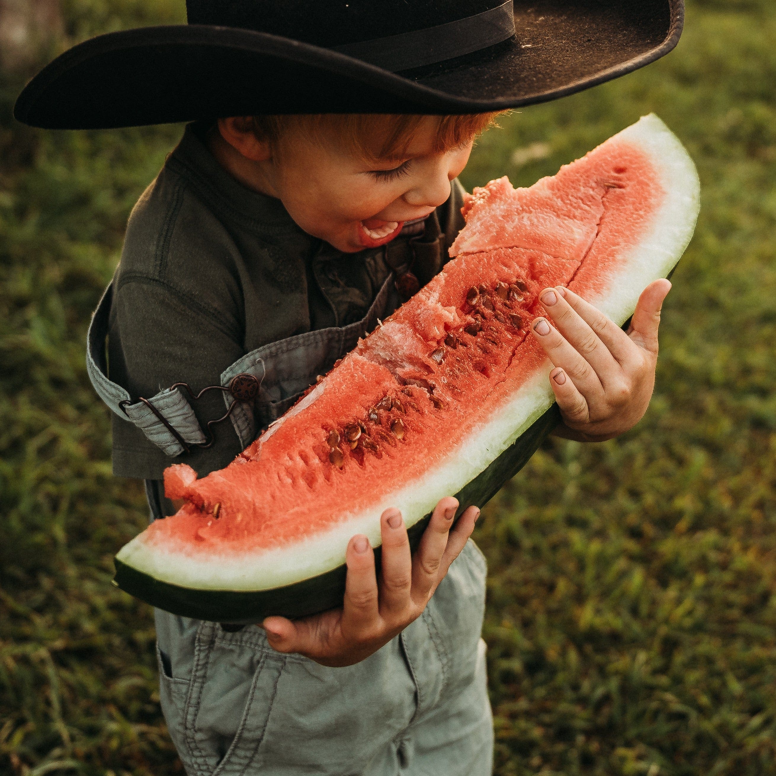 Red-N-Sweet Watermelon - Thresh Seed Co.