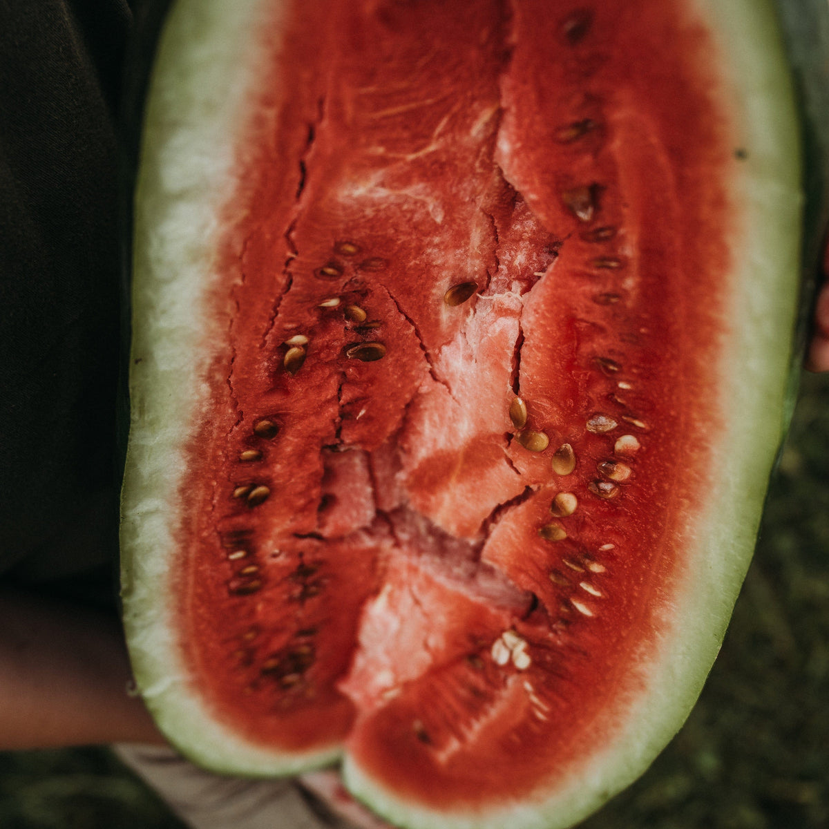 Red-N-Sweet Watermelon