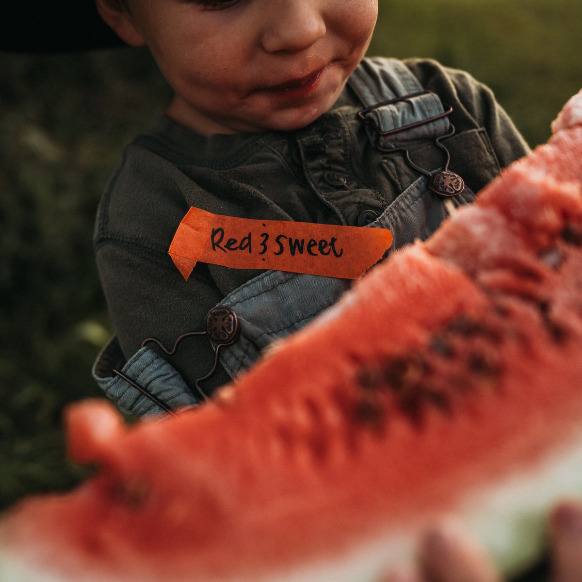 Red-N-Sweet Watermelon