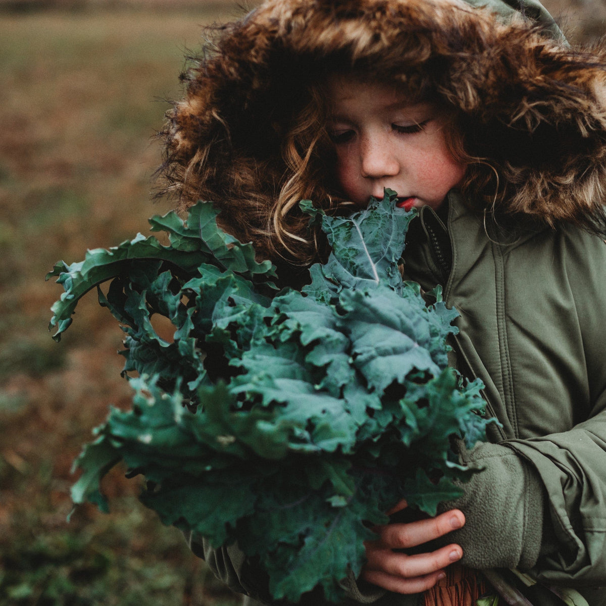 Red Russian Kale