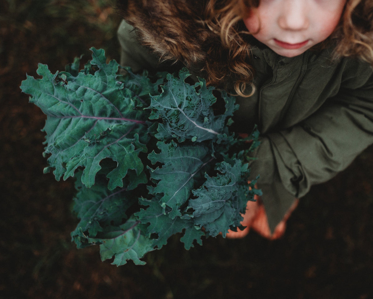 Red Russian Kale