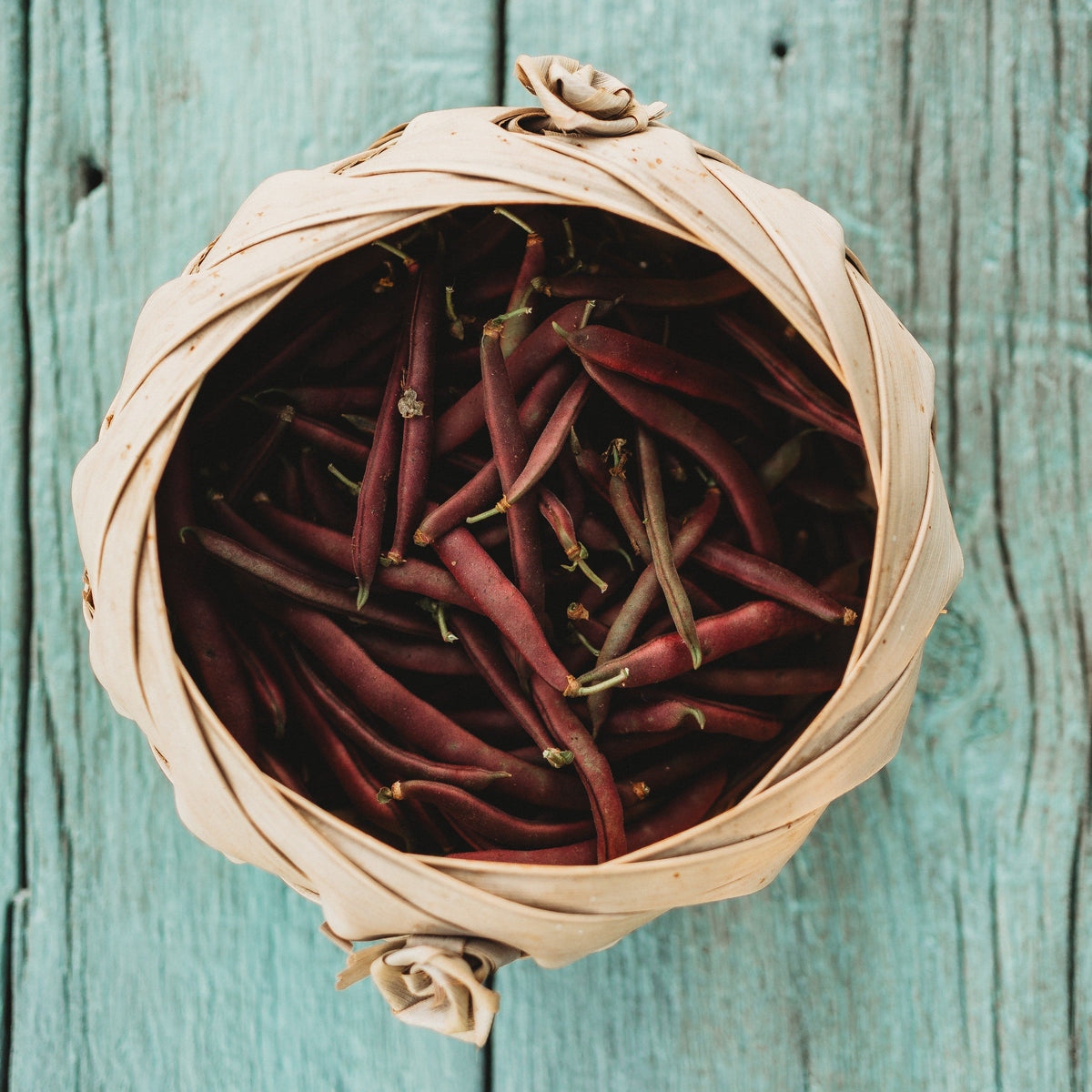 Red Swan Bush Bean