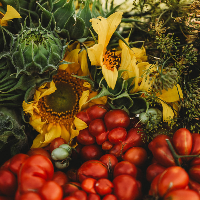 Reisetomate Traveler Tomato