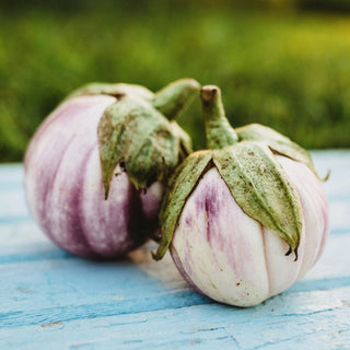 Rosa Bianca Italian Eggplant