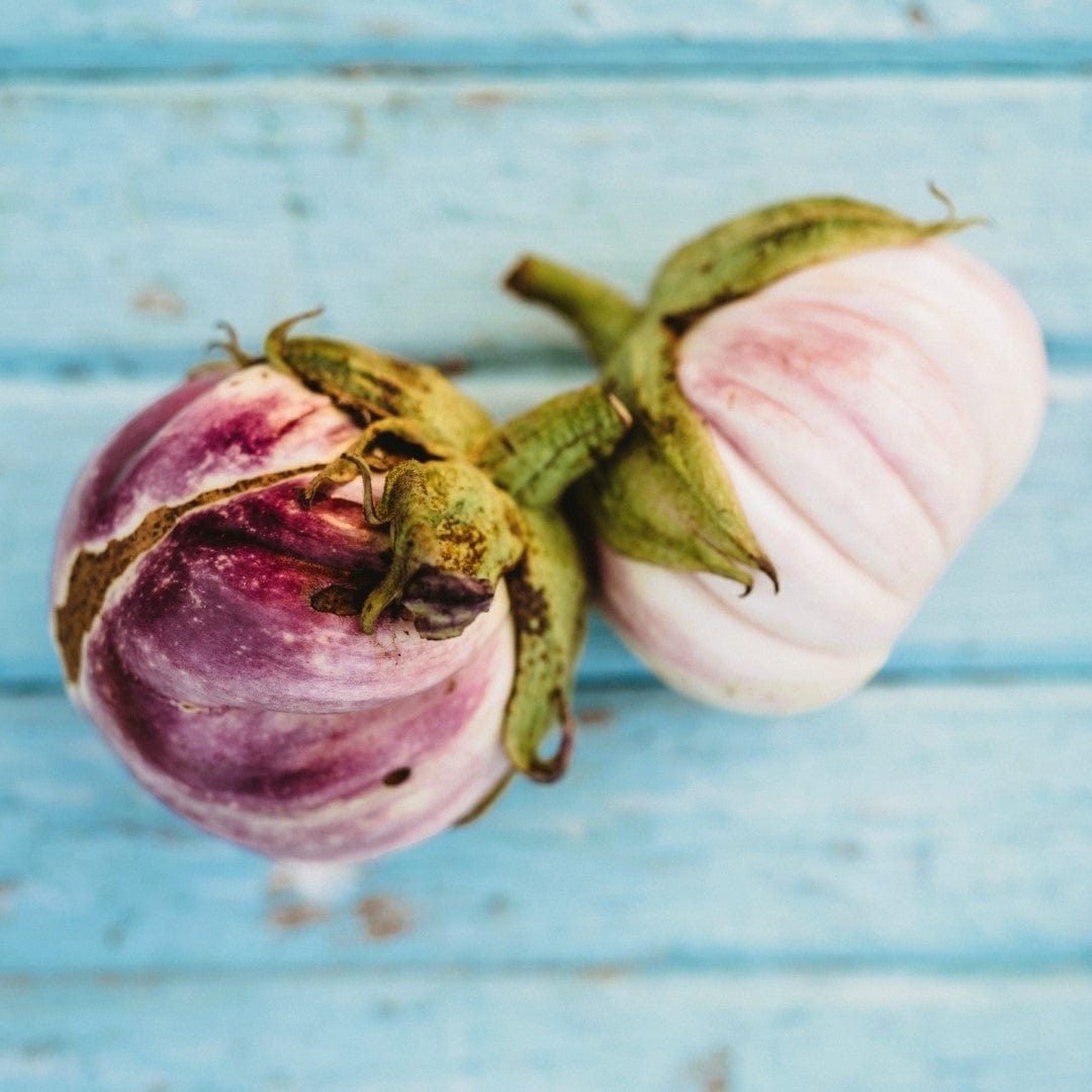 Rosa Bianca Italian Eggplant