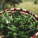 Royal Oakleaf Heirloom Lettuce Seeds