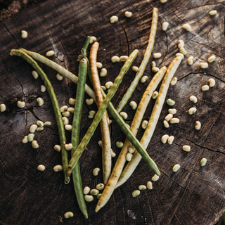 Sadandy (Sa Dandy) Southern Pea