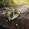 Sadandy (Sa Dandy) Southern Pea
