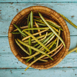 Sadandy (Sa Dandy) Southern Pea Seeds
