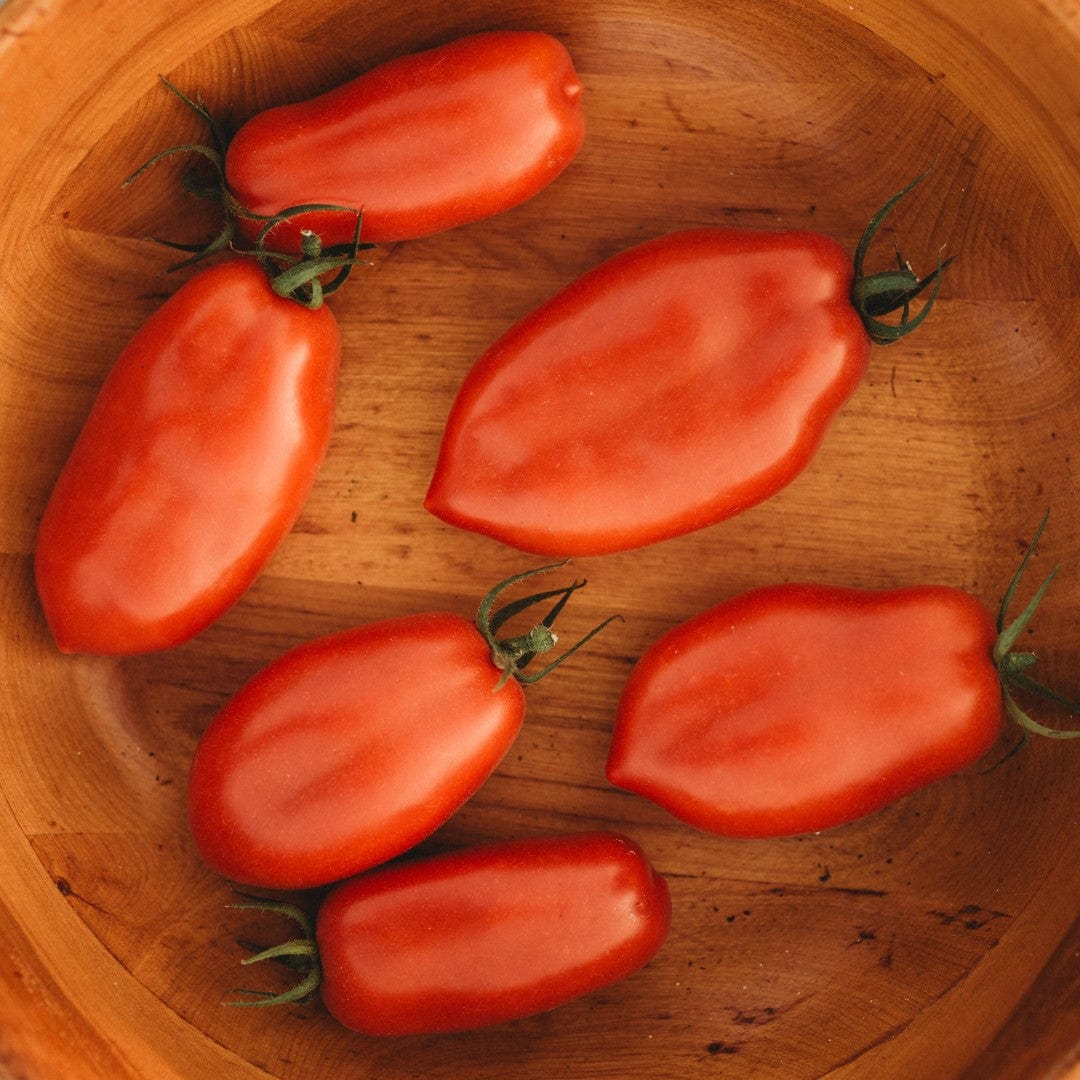 San Marzano Heirloom Roma Tomato