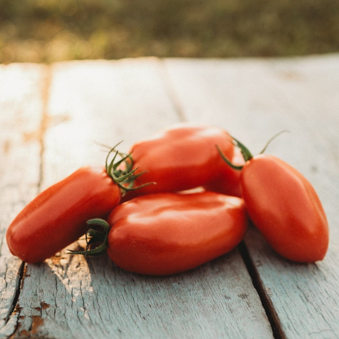 San Marzano Heirloom Roma Tomato