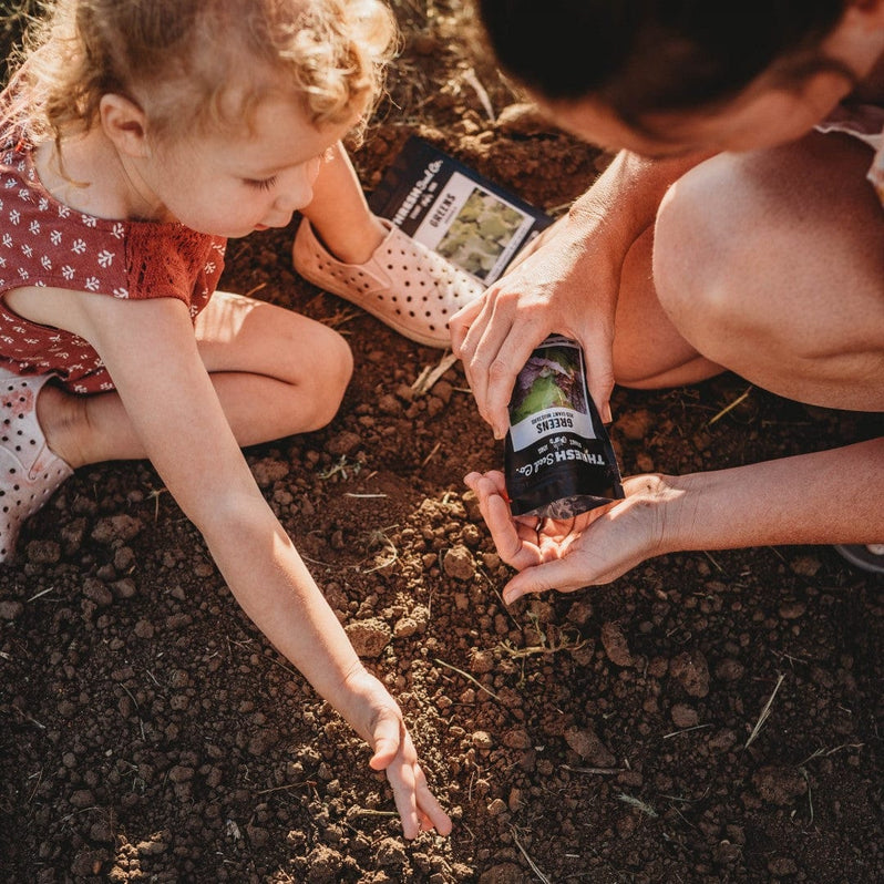 Little girl planting seeds