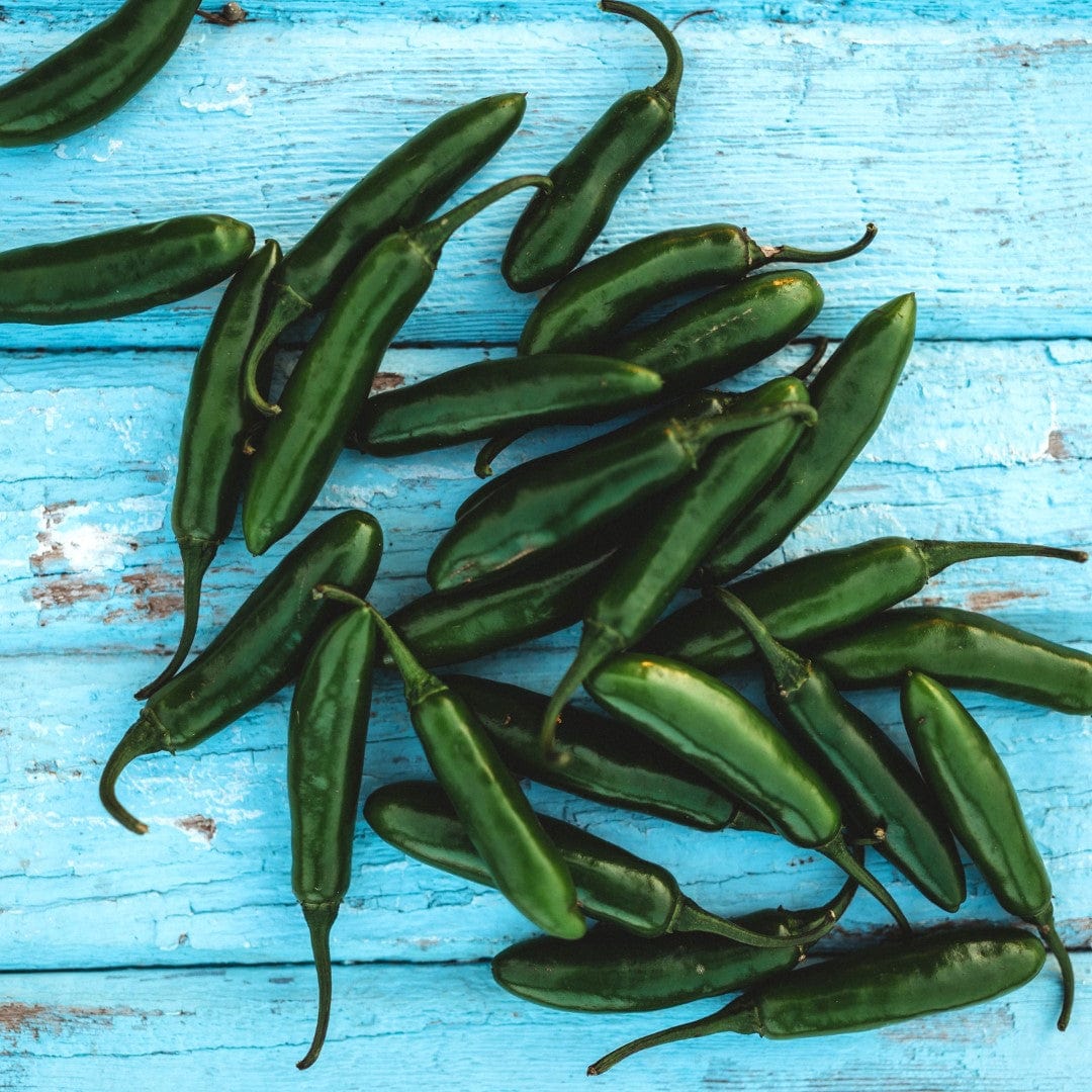 Serrano (Tampiqueno) Mexican Chile Pepper