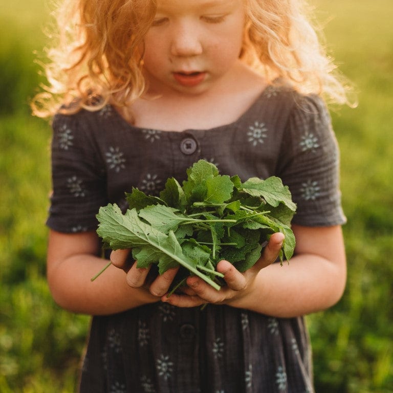 Seven Top Turnip Greens Seeds