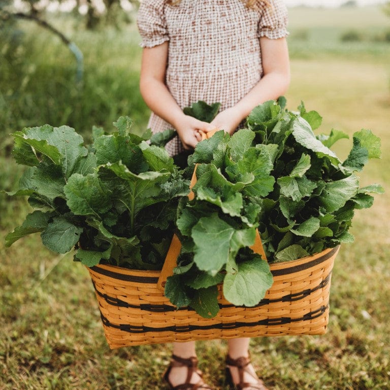 Seven Top Turnip Greens Seeds