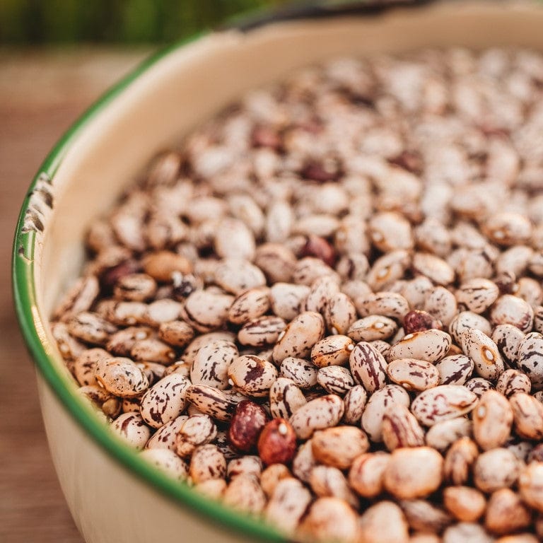 Speckled Cranberry Shelling Bean (October Bean)