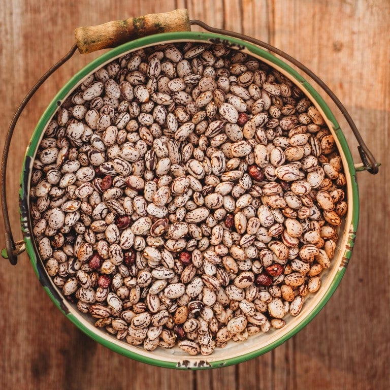 Speckled Cranberry Shelling Bean (October Bean) Seeds