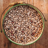 Speckled Cranberry Shelling Bean (October Bean) Seeds