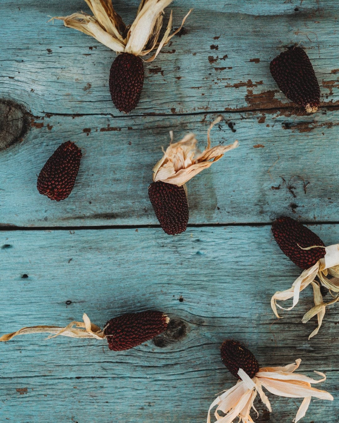 strawberry popcorn seeds Strawberry Popcorn