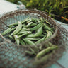 Sugar Snap Pea