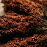 Sumac Sugar/Sweet Cane Sorghum